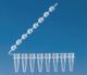 Striscia da 8 provette per PCR