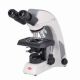 Light Microscope Panthera L