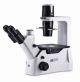 Microscopio Invertito da routine per cellule in vivo, AE2000