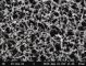 Membrane filtranti NC, in nitrato di cellulosa