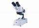 Stereomicroscopio ST 36C