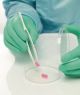 Guanti per camera bianca, BioClean FUSION™, Policloroprene