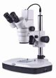 Stereomicroscopio digitale DM-143-FBGG