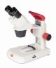 Stereomicroscopio didattico, RED 30S
